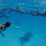 Private Boat To Dolphin House & Snorkeling with Lunch - Hurghada - What Travelers Say
