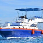 Private Boat to Hula Hula Island Snorkeling With Lunch - Hurghada - Why This Tour Offers Great Value