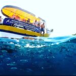 PRIVATE BOAT TOUR FROM FAANA-BRIJUNI & PULA - Practical Details: What Travelers Need to Know