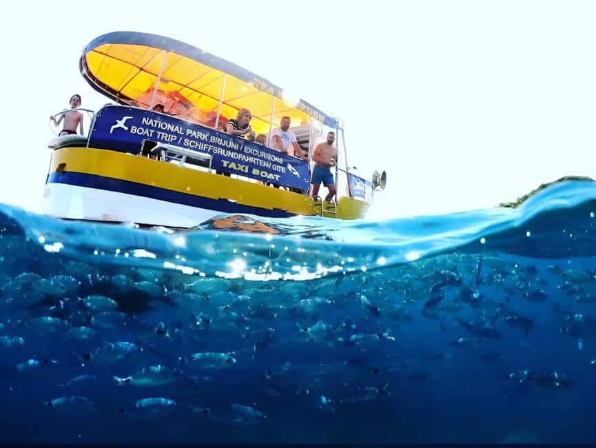 PRIVATE BOAT TOUR FROM FAANA-BRIJUNI & PULA - Practical Details: What Travelers Need to Know