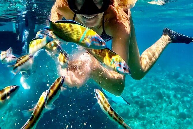 Private Boat Tour in Tropea - Up to 9 Guests, Unique Experience! - Detailed Breakdown of the Itinerary