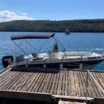 Private boat trips in Porec: dolphin watching, panoramic tour - The Itinerary: What to Expect