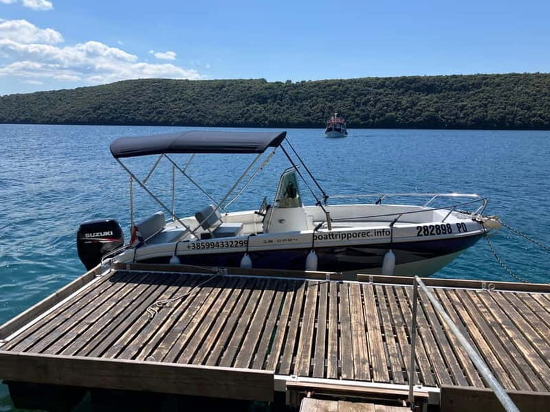 Private boat trips in Porec: dolphin watching, panoramic tour - The Itinerary: What to Expect
