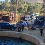 Private Cairo Airport Transfer To Your Hotel in Cairo or Ciza - What Makes This Transfer Stand Out?