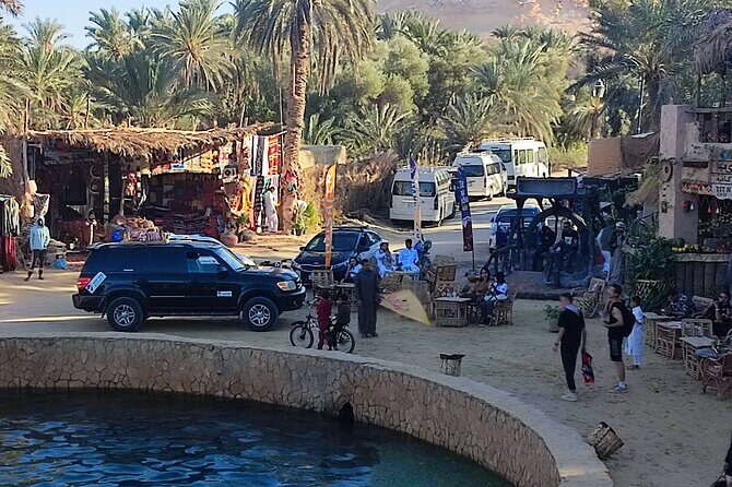 Private Cairo Airport Transfer To Your Hotel in Cairo or Ciza - What Makes This Transfer Stand Out?