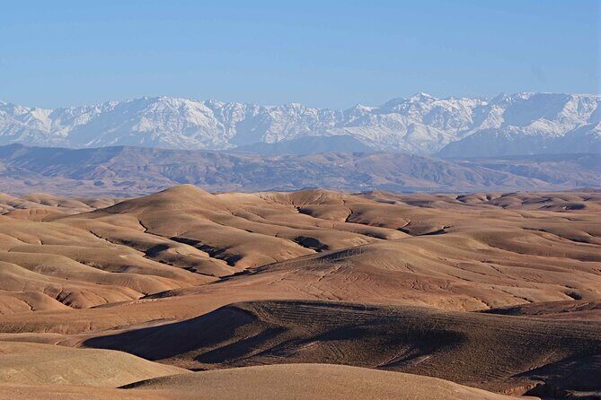 Private Camel Ride in Agafay Desert with Dinner Included - Quad Biking: Adding a Dash of Adventure