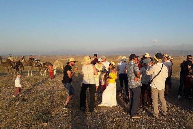 Private Camel Ride in Agafay desert - Why This Tour Is a Great Choice