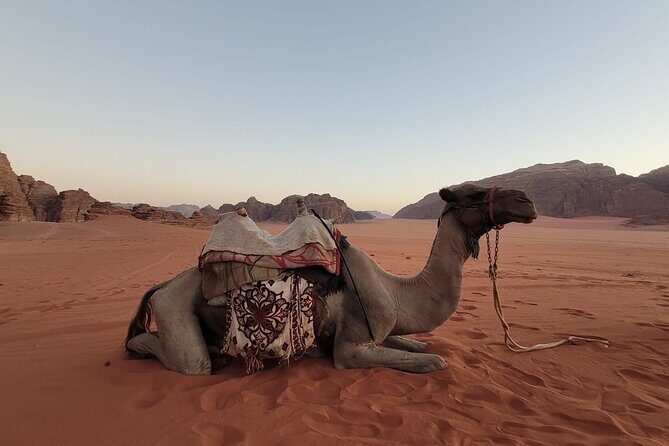 Private Camel Ride Sunset View at Wadi Rum, 30% off - Authentic Bedouin Hospitality and Cultural Touches