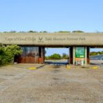 Private Cape of Good Hope Sightseeing and African Penguin Tour - Why This Tour Works Well