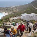 Private Cape Point Penguins Tour-Exploring the Cape Peninsula F/D - A Closer Look at the Itinerary and What to Expect