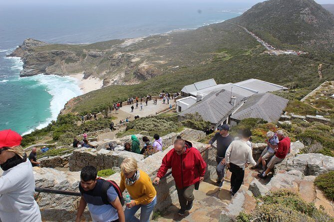 Private Cape Point Penguins Tour-Exploring the Cape Peninsula F/D - A Closer Look at the Itinerary and What to Expect