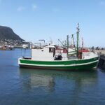 Private Cape Point / Peninsula Tour - What Makes This Tour Stand Out