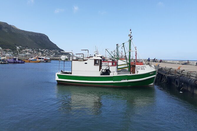 Private Cape Point / Peninsula Tour - What Makes This Tour Stand Out