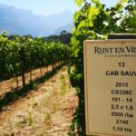 Private Cape Winelands Ful Day Ultra Flexible Guided Tour. - Why Travelers Appreciate This Tour