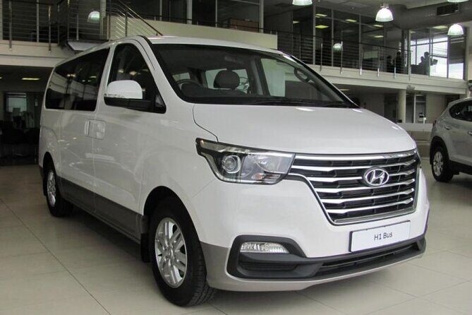 Private Car With professional Driver Will Be With You Full Day - The Experience: What Travelers Are Saying