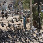 Private city tour with shopping - Who Should Consider This Tour?