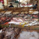 Private City Tours Hurghada - Practical Details & What to Expect