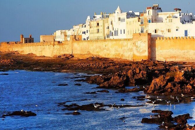 Private Comfortable Transfer from Marrakech to Essaouira - Analyzing the Value