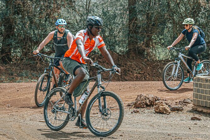 Private Cycle to Kilimanjaro Bike Park Safari - A Detailed Look at the Kilimanjaro Bike Safari