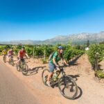 Private Cycling Tour of Constantia Winelands - Why This Tour Is Worth Considering
