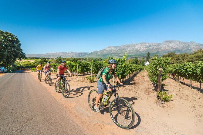 Private Cycling Tour of Constantia Winelands - Why This Tour Is Worth Considering