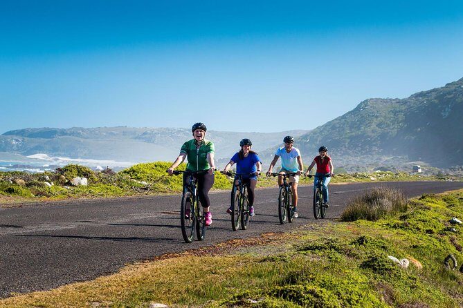 Private Cycling Tour of The Cape Peninsula from Cape Town - Real Travelers’ Insights: What They Loved and What They Wished for