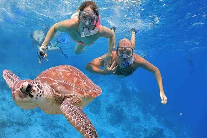 Private Day In Sharm El Sheikh From Cairo By Flight - Who Is This Tour Best For?