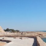 Private Day Tour: Abu Simbel from Aswan - Transportation & Comfort