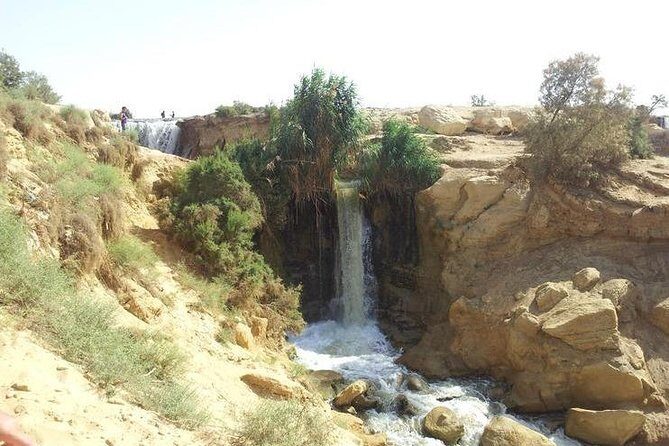 Private day tour El Fayoum ,and Valley of Whales with safari - FAQ