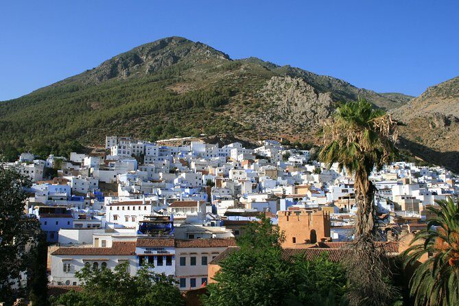 Private Day Tour from Fez to Chefchaouen - Practical Details and Value