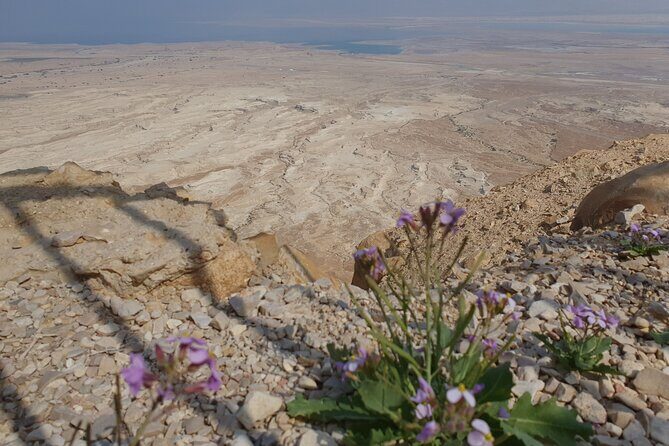 Private Day Tour in Masada and the Dead Sea - A Closer Look at the Itinerary