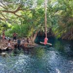 Private Day Tour in Serval Wildlife and Kikuletwa Hot Spring - What Travelers Say