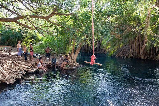 Private Day Tour in Serval Wildlife and Kikuletwa Hot Spring - What Travelers Say