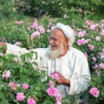 Private Day Tour of Oman's Natural Wonders in Nizwa, Jabel Akhdar - Transportation and Timing