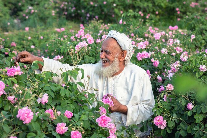 Private Day Tour of Oman's Natural Wonders in Nizwa, Jabel Akhdar - Transportation and Timing