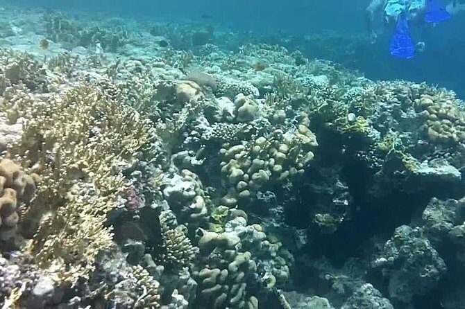Private Day Tour of Ras Mohammed National Park with Snorkeling - Who Should Consider This Tour?