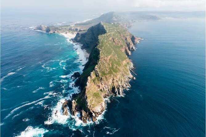 Private Day tour of the Cape. Our reviews show why people book! - Authentic Experiences & Unique Highlights