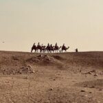 Private Day Tour Pyramids of Giza, Egyptian Museum and Bazaars - The Guided Experience: Why It Matters