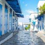 Private day tour Sidi Bousaid, Carthage and Hammamet departing from sousse - Ending the Day with Hammamet’s Coastal Beauty