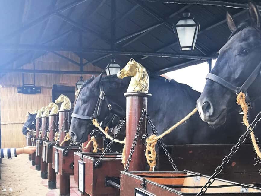 Private Day Tour Tagus River, olive oil, winery and horses - Who Should Consider This Tour?