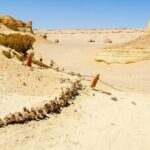 Private Day Tour To El Fayoum From Cairo - Value for Money