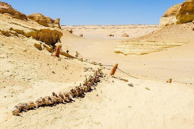 Private Day Tour To El Fayoum From Cairo - Value for Money