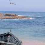 Private Day Tour to Essaouira from Marrakech - Why This Tour Offers Great Value