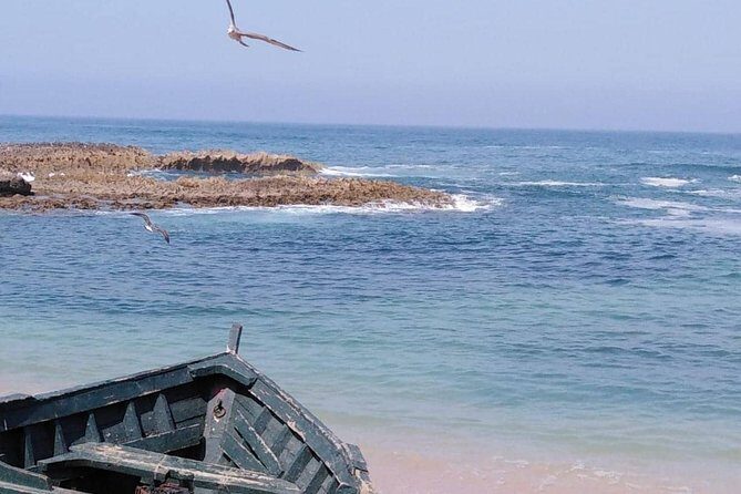 Private Day Tour to Essaouira from Marrakech - Why This Tour Offers Great Value