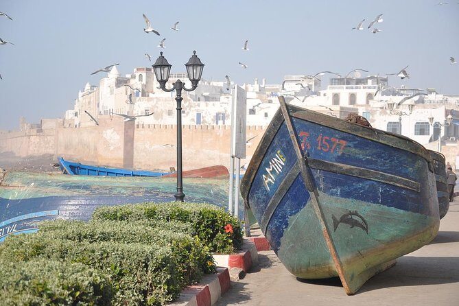Private day tour to Essaouira from Marrakech - The Practicalities and Value