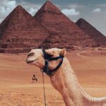 Private Day Tour to Giza Pyramids, Saqqara, and Memphis - Why This Tour Is a Great Choice