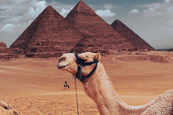 Private Day Tour to Giza Pyramids, Saqqara, and Memphis - Why This Tour Is a Great Choice