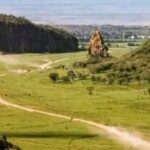 Private Day tour to Hell's Gate National Park and Lake Naivasha - Why This Tour Is a Great Deal