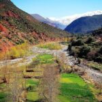Private Day Tour to Ourika Valley including Guided Hike and Lunch from Marrakech - Visiting the Argan Oil Cooperative