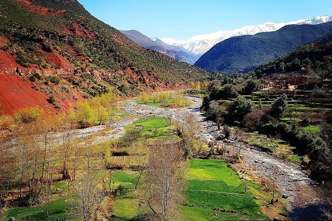 Private Day Tour to Ourika Valley including Guided Hike and Lunch from Marrakech - Visiting the Argan Oil Cooperative